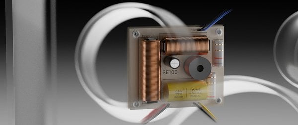 eversolo se100