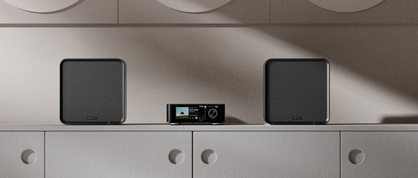 eversolo se100