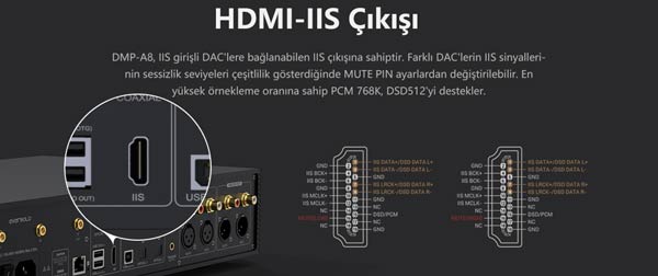 EverSolo DMP-A8 Streamer