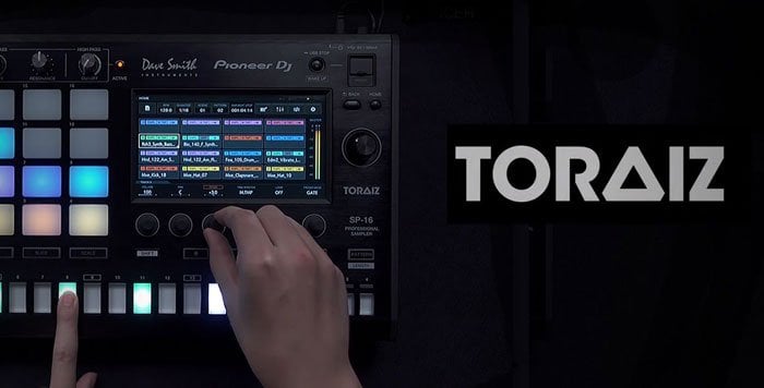 pioneer toraiz