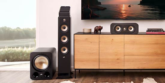Polk Audio Signature Elite ES12  Subwoofer