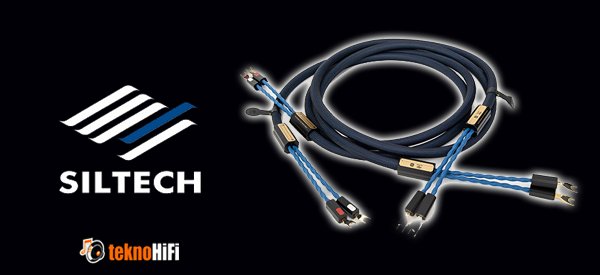 Siltech ROYAL SINGLE CROWN SSP009 silver-gold spade Sonlandırılmış Hoparlör Kablosu