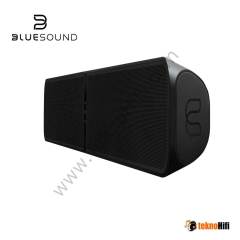 Bluesound  Pulse Soundbar Plus Siyah
