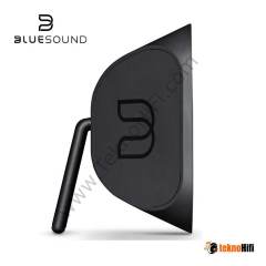 Bluesound  Pulse Soundbar Plus Siyah