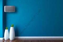 Bluesound Pulse Mini 2i Kablosuz Çok Odalı Müzik Akış Hoparlörü Beyaz