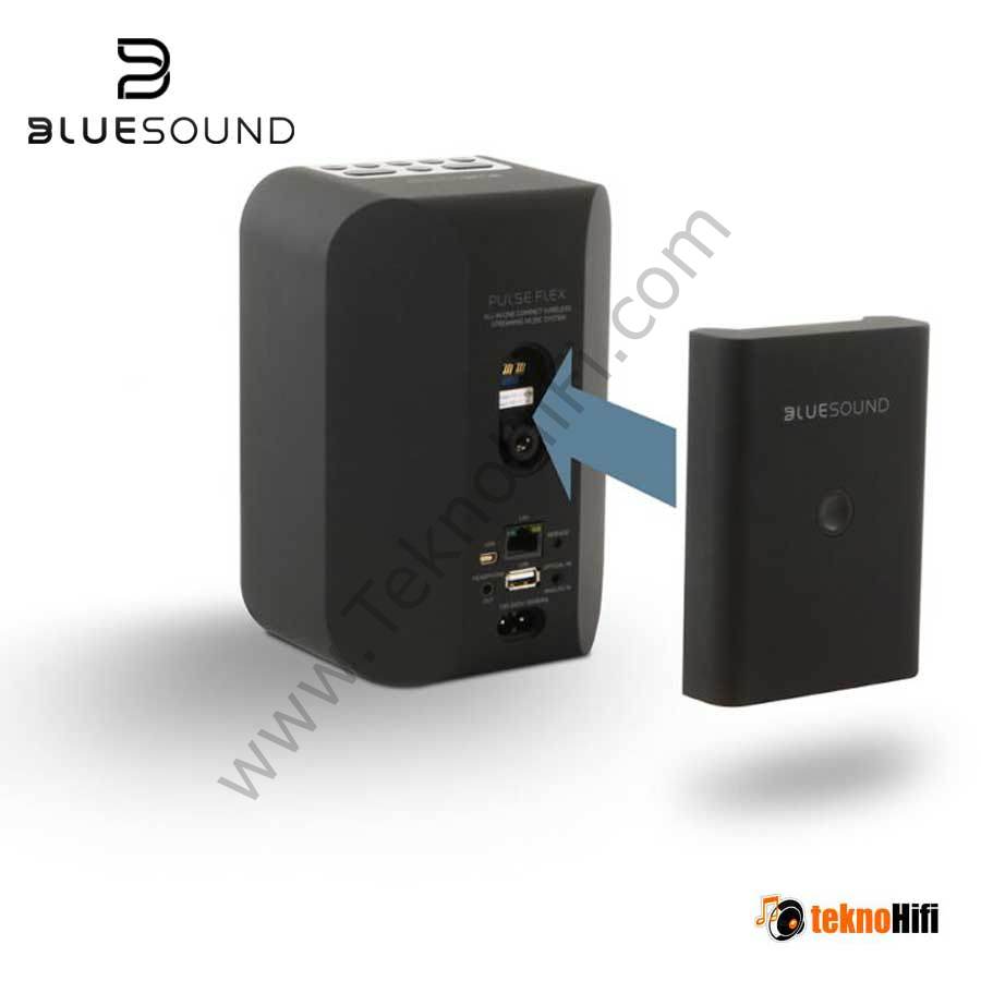 Bluesound Pulse Flex BP100 Pil Takımı