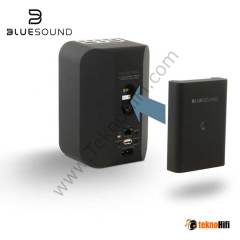 Bluesound Pulse Flex BP100 Pil Takımı