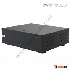 EverSolo AMP-F2 Power Amplifikatör
