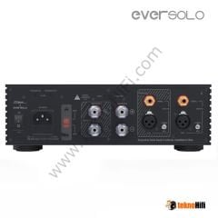 EverSolo AMP-F2 Power Amplifikatör