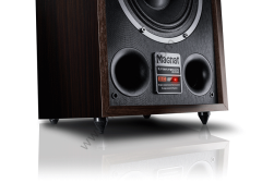 Magnat Transpuls 800A  Bluetooth Aktif Hoparlör