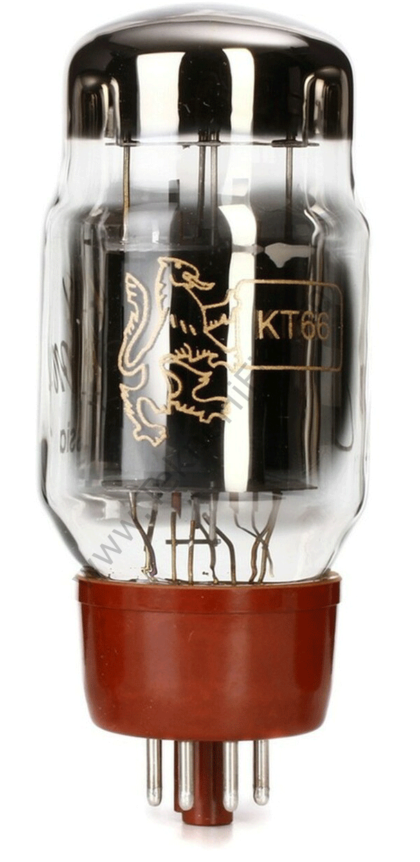Genalex Gold Lion KT66 Lamba