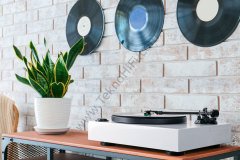 Magnat MTT 990 Audiophile Direct-Drive Pikap 'Beyaz'