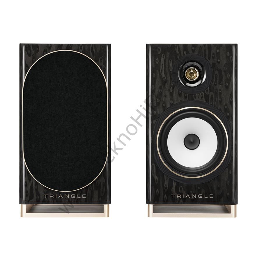 Triangle CAPELLA Kablosuz Aktif Hoparlör Siyah