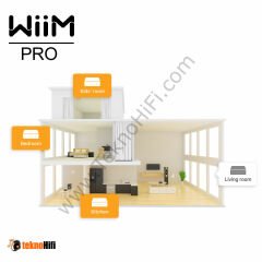 WIIM PRO Audio Streamer