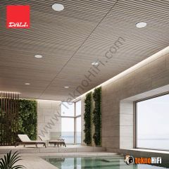 Dali Phantom E-80 WR Dış Mekan Tavan Hoparlörü 'Adet'