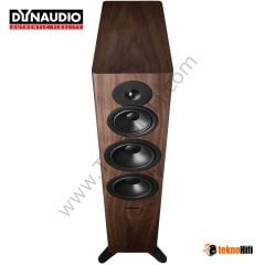 Dynaudio Evoke 50 Kule Hoparlör Walnut