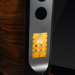 USHER TD-20 Kule Hoparlör 'Glossy Ebony'