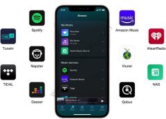 WiiM Mini Yüksek Çözünürlüklü Ses Aktarıcı
