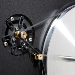 Clear Audio Concept Signature MC Wood Pikap