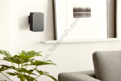 Bluesound Pulse Flex 2i  Taşınabilir Kablosuz Çok Odalı Müzik Akış Hoparlörü