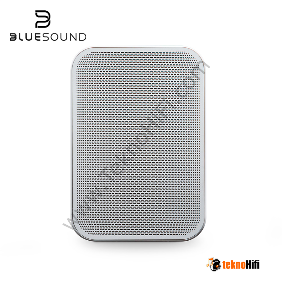 Bluesound Pulse Flex 2i  Taşınabilir Kablosuz Çok Odalı Müzik Akış Hoparlörü Beyaz