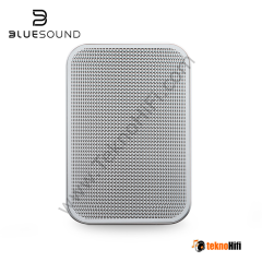Bluesound Pulse Flex 2i  Taşınabilir Kablosuz Çok Odalı Müzik Akış Hoparlörü Beyaz