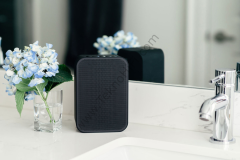 Bluesound Pulse Flex 2i  Taşınabilir Kablosuz Çok Odalı Müzik Akış Hoparlörü Siyah