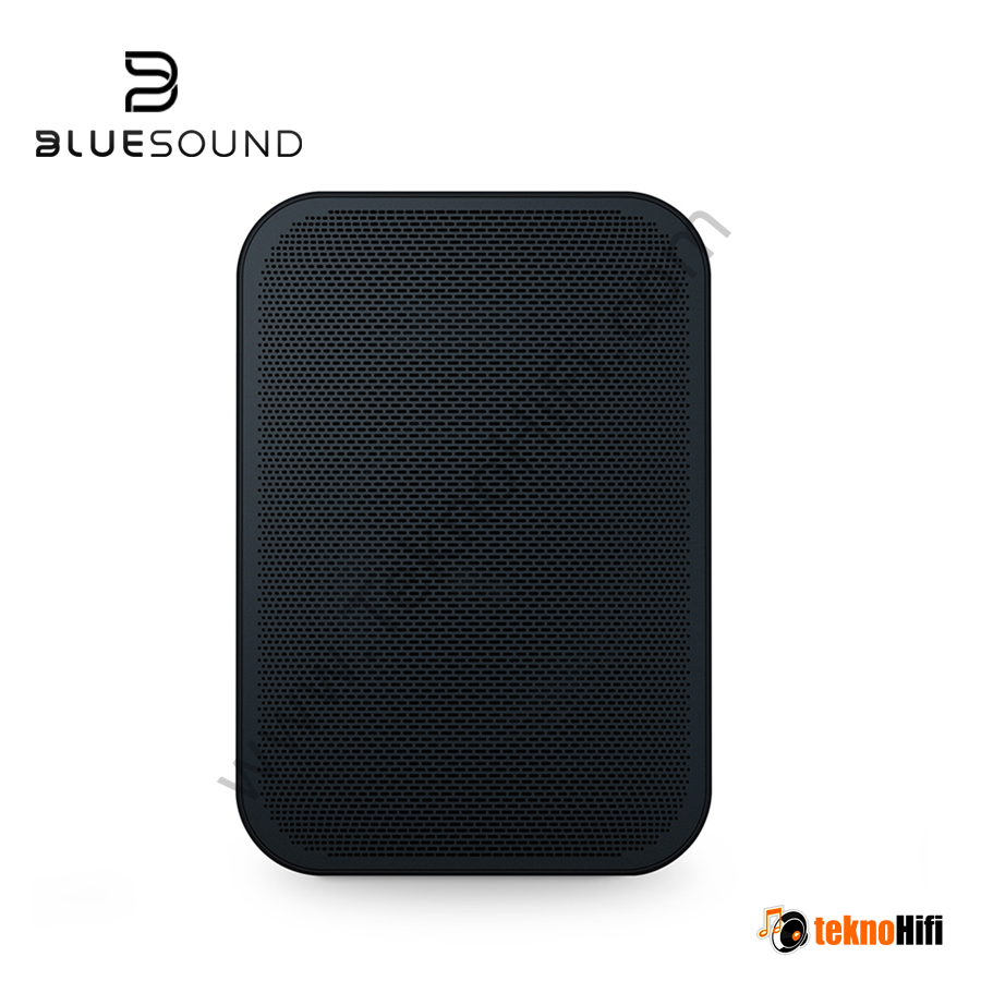 Bluesound Pulse Flex 2i  Taşınabilir Kablosuz Çok Odalı Müzik Akış Hoparlörü Siyah