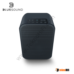 Bluesound Pulse Flex 2i  Taşınabilir Kablosuz Çok Odalı Müzik Akış Hoparlörü Siyah