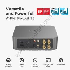 WiiM AMP PRO Streamer Amplifikatör