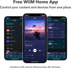 WiiM AMP Streamer Amplifikatör Gri
