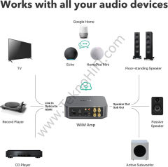 WiiM AMP Streamer Amplifikatör Gri