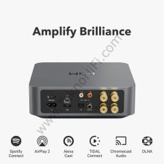 WiiM AMP Streamer Amplifikatör Gri
