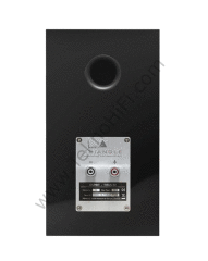 Triangle Esprit TITUS Ez Raf tipi Hoparlör