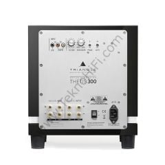 Triangle THETIS 300 Subwoofer