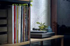 Cambridge Audio ALVA TT  V2 Direct Drive Pikap