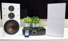 Dali SOUND HUB Kablosuz Ses Transferi