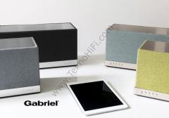 Triangle AIO 3 Bluetooth WiFi Hoparlör 'Granit Gri'